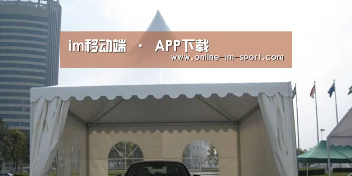 案例标题八