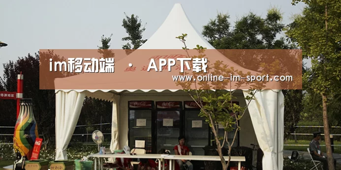 案例标题五