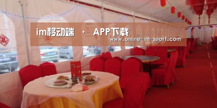 案例标题二