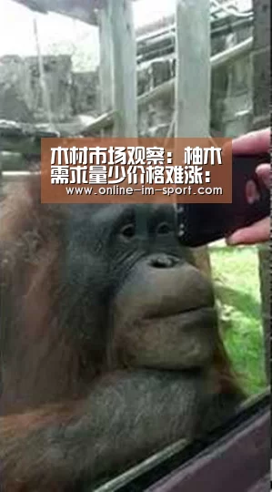 木材市场观察：柚木需求量少价格难涨：im体育