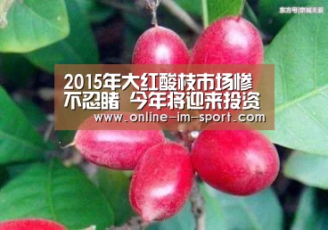 2015年大红酸枝市场惨不忍睹 今年将迎来投资机会|im体育下载