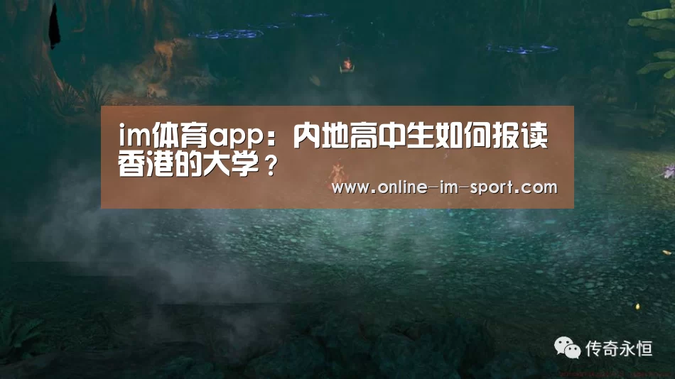 im体育app