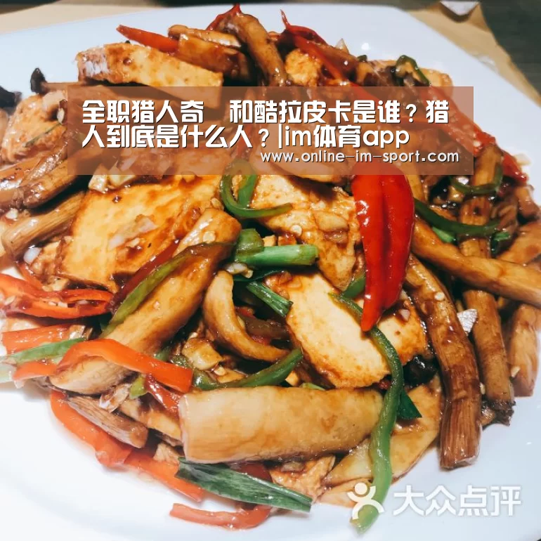 全职猎人奇犽和酷拉皮卡是谁?猎人到底是什么人?|im体育app(图3) im体育官网