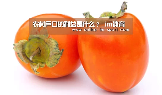 im体育官网