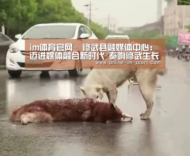 im体育官网-
修武县融媒体中心:迈进媒体融合新时代 奏响修武生长最强音(图2) im体育app