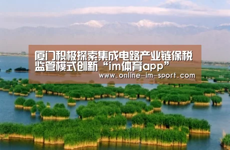 厦门积极探索集成电路产业链保税监管模式创新“im体育app”(图3) im体育