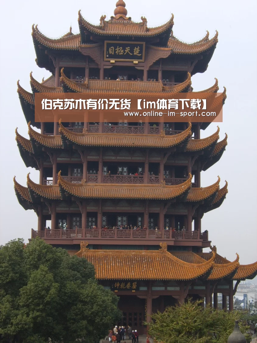 伯克苏木有价无货【im体育下载】