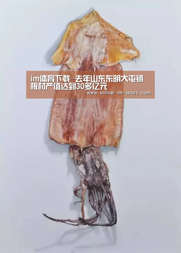 im体育下载-去年山东东明大屯镇板材产值达到30多亿元